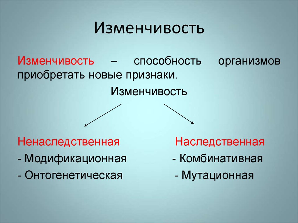 Презентация на тему изменчивость 10 класс биология