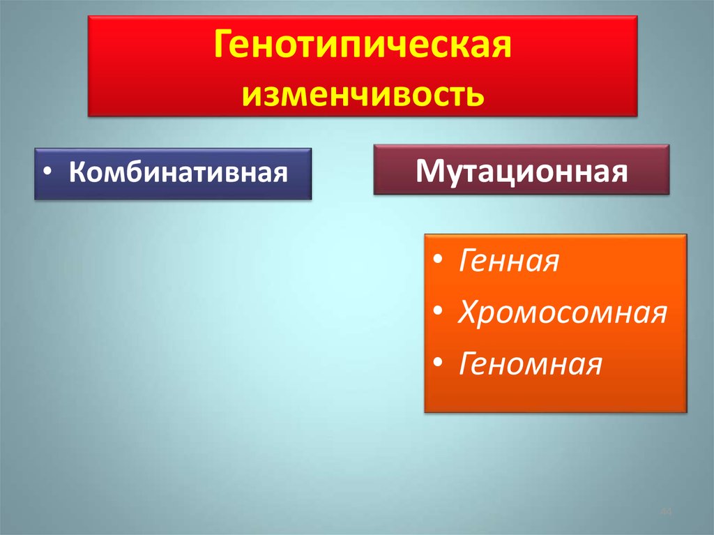 Генотипическая изменчивость. Генотипическая изменчивость комбинативная. Мутационная генотипическая изменчивость. Генотипическая изменчивость мутационная и комбинативная.