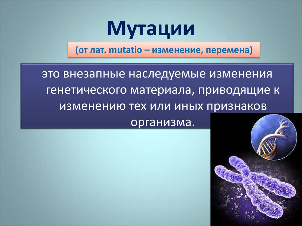 Мутагенез метод генетики. Геномные мутации. Мутации презентация.