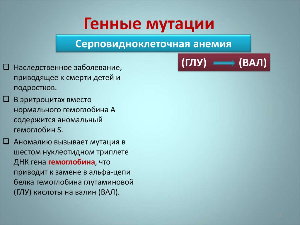 Генные мутации. Примером генной мутации является. Генные мутации приводят. Точковые мутации примеры.