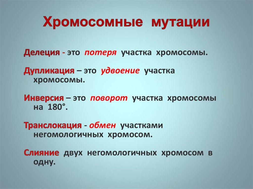 Виды хромосомных мутаций. Хромосомные мутации. Хромосомнымутациие мутации. Хромосомные мутации делеция. Хромосомные мутации делеция дупликация инверсия транслокация.