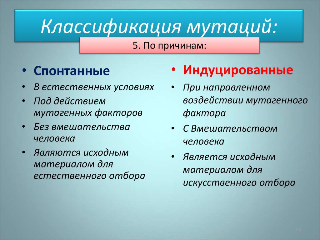 Спонтанная мутация. Спонтанные и индуцированные мутации. Классификация мутаций по причинам. Классификация мутаций спонтанные. Мутации. Классификация мутаций, мутагенные факторы..