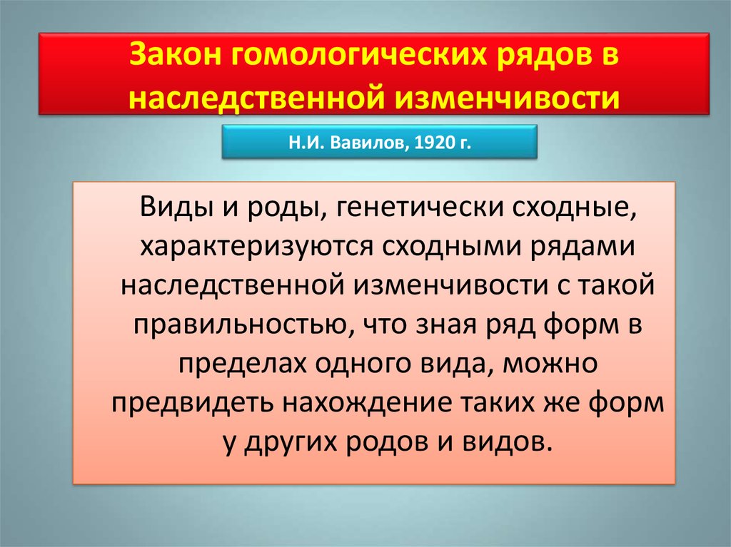 Закон гомологических рядов наследственной изменчивости. Закон гомологичных рядов наследственной изменчивости. Закон гомологических рядов наследственной изменчивости н.и Вавилова. Закон Вавилова о гомологических рядах наследственной изменчивости.