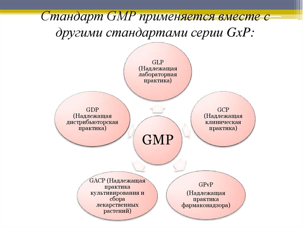 Ооо джиэмпи проект