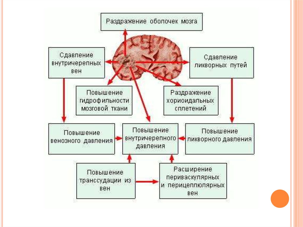 Сдавление мозга признаки. Клиническая картина опухолей головного мозга. Патогенез опухолей головного мозга неврология. Причины опухоли головного мозга причины. Объемное образование головного мозга.