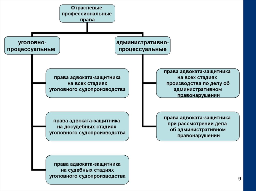 Полномочия адвоката в судопроизводстве