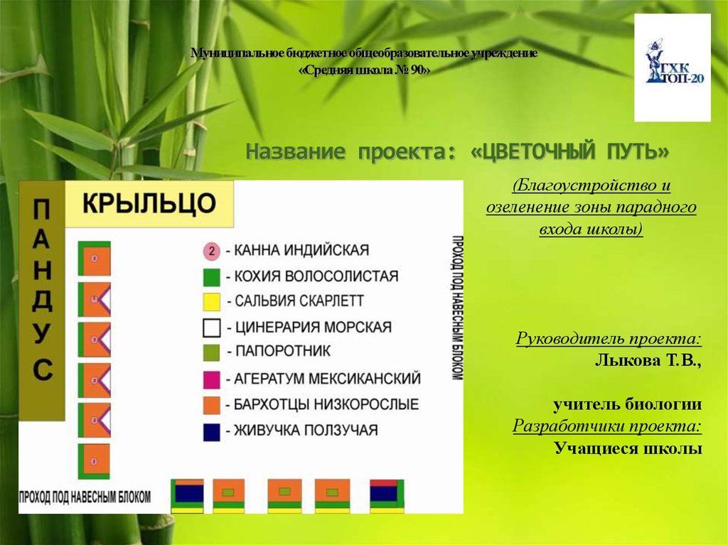 О чем говорят названия цветов проект