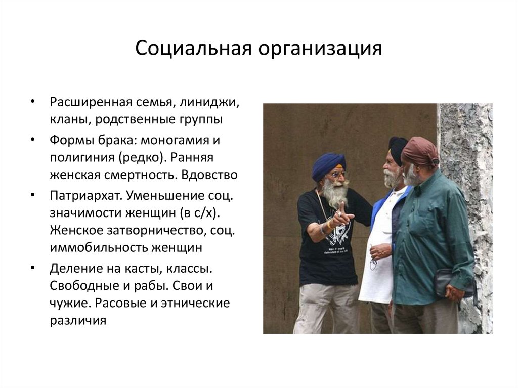 Социальная организация