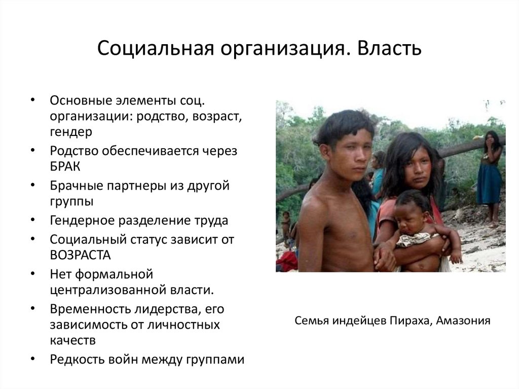 Социальная организация. Власть