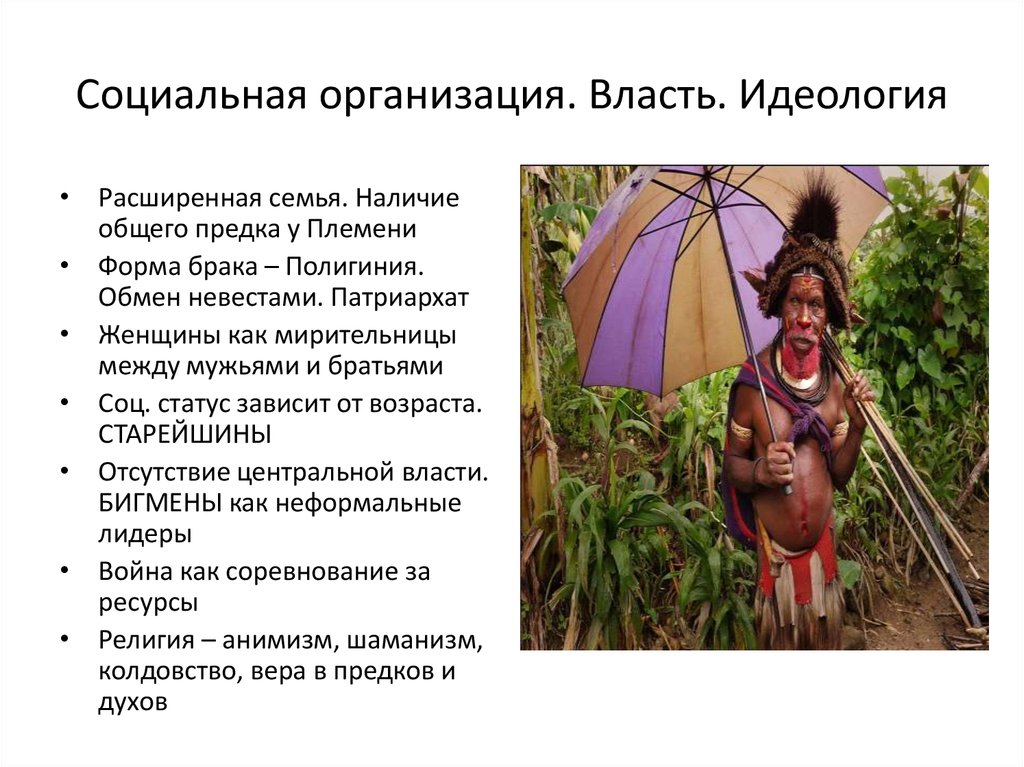 Социальная организация. Власть. Идеология