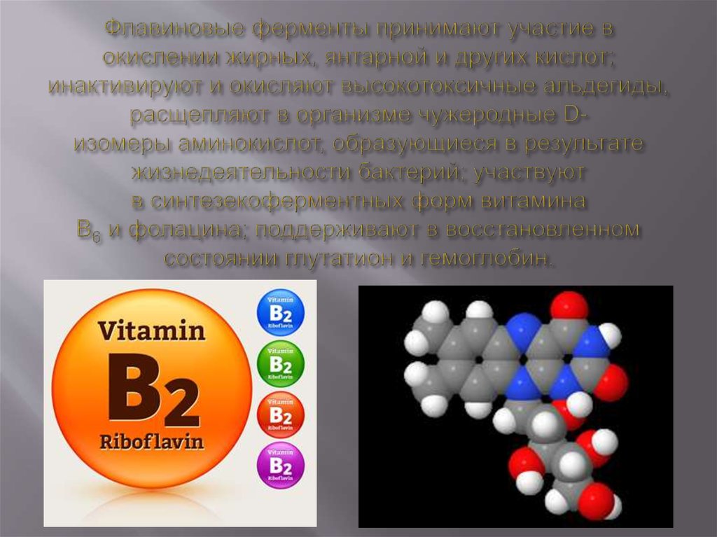 Витамин в2 картинки