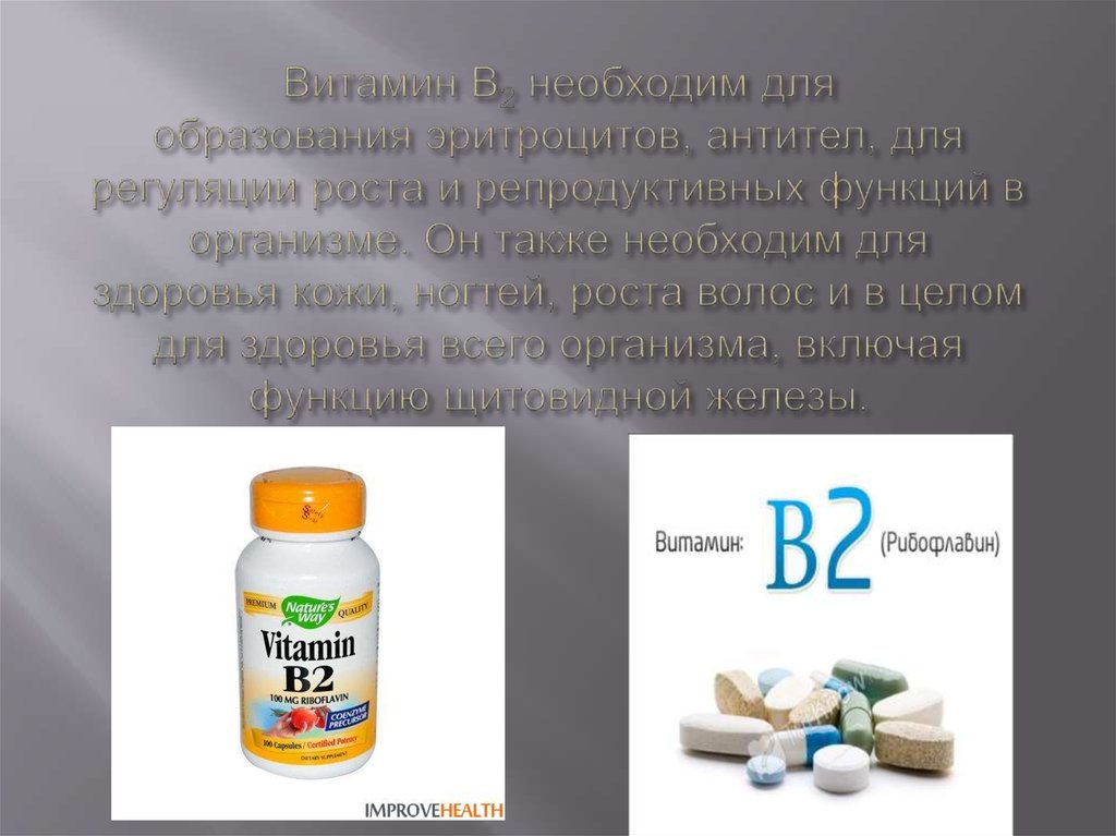 Витамин B2 необходим для образования эритроцитов, антител, для регуляции роста и репродуктивных функций в организме. Он также