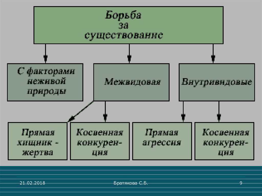 Борьба за существование схема