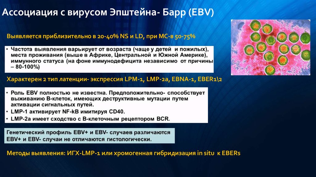 Антитела к epstein barr virus igg