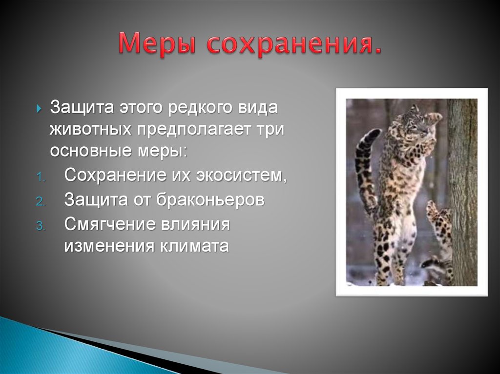 Под угрозой сейчас находится большинство оставшихся высших видов план текста