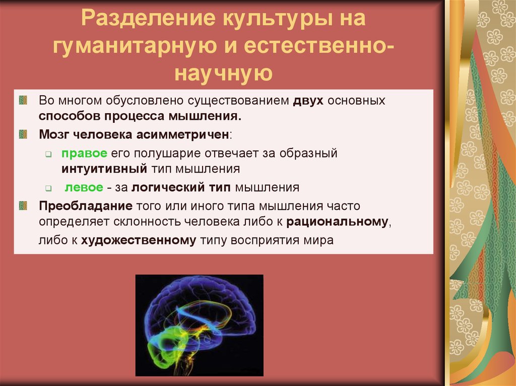 Несколько существование. Разделение культуры. Естественно научные и Гуманитарные культуры. Разделение естественнонаучная и гуманитарная культура. Причины разделения науки на гуманитарную и естественно научную.