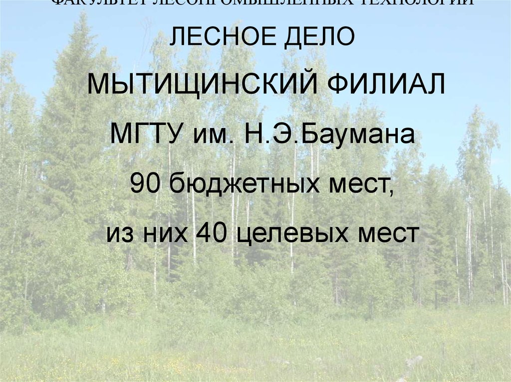 Лесное дело это. Лесное дело. Лесное дело презентация. Лесное дело специальность. Лесные технологии.