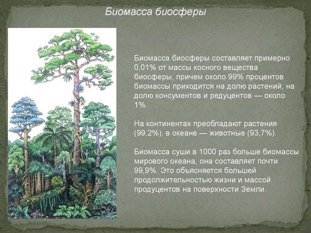 Растения в биосфере является. Биомасса биосферы. Растения в биосфере. Биомасса наземных растений составляет от всей биомассы биосферы. Биомассу биосферы составляют.