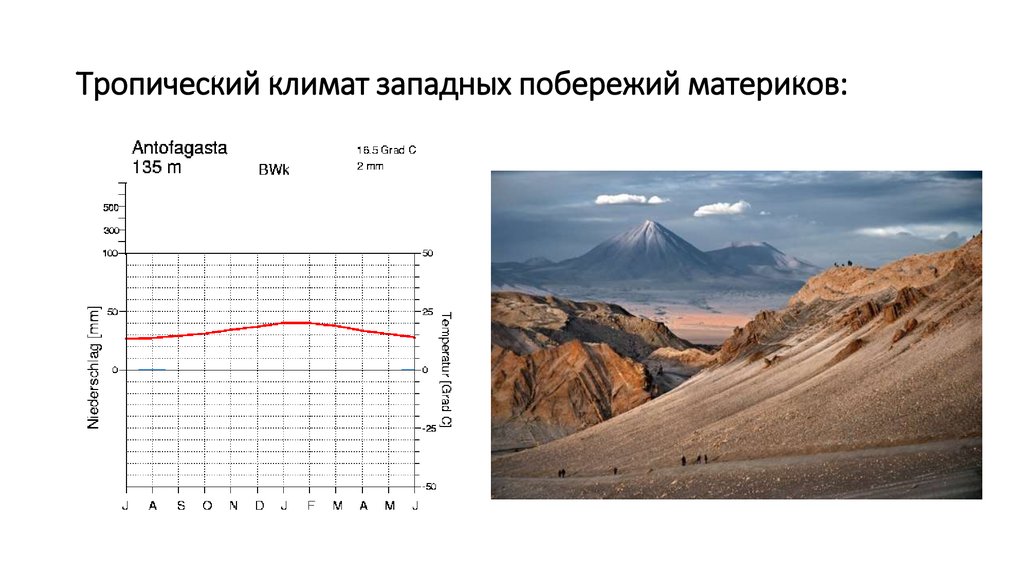 Климат восточных побережий