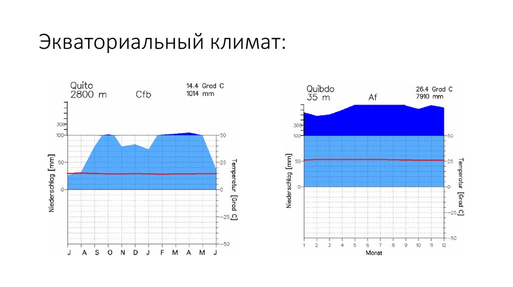 Экваториальная климатограмма. Климатограмма экваториального климата. Экваториальный климат на климатограмме. Климатограмма экваториального пояса Африки. Климат экваториальных лесов климатограмма.