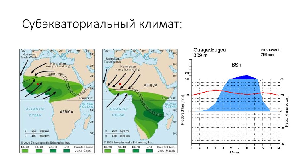 Объяснение климатических различий евразии. Климатическая диаграмма субэкваториального пояса. Субэкваториальный климатический пояс Евразии. Климатические карты экваториальные и субэкваториальный. Диаграмма тропического климата.
