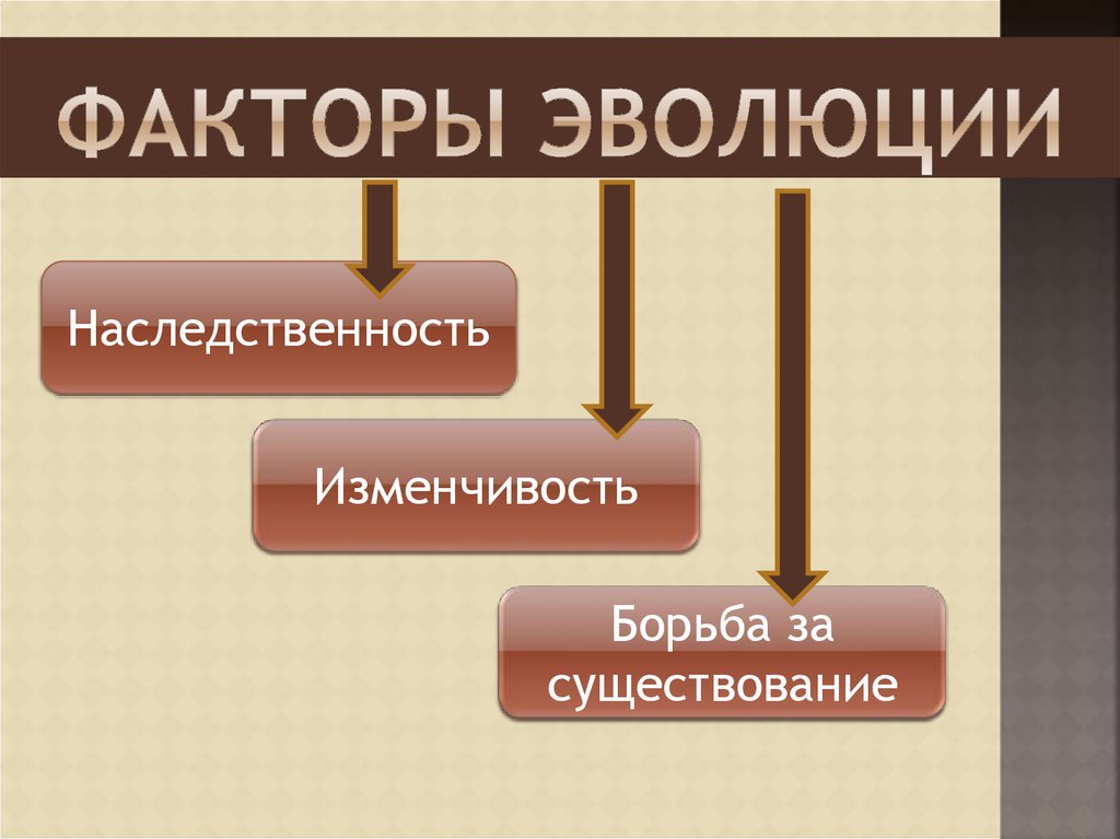 Схема факторов эволюции