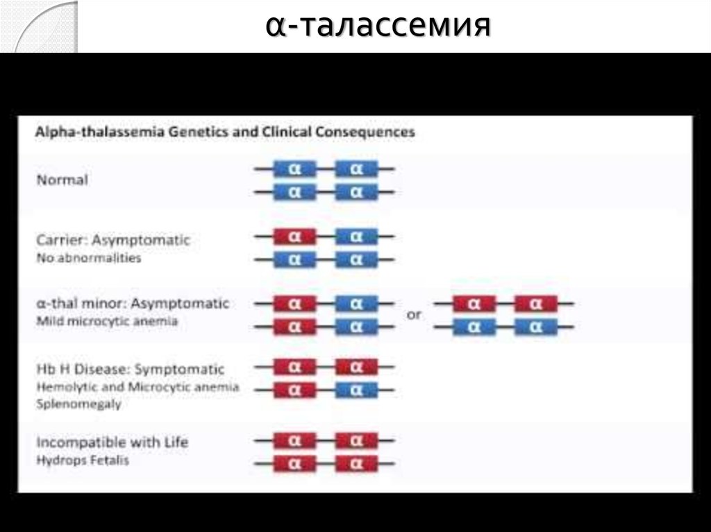 α-талассемия