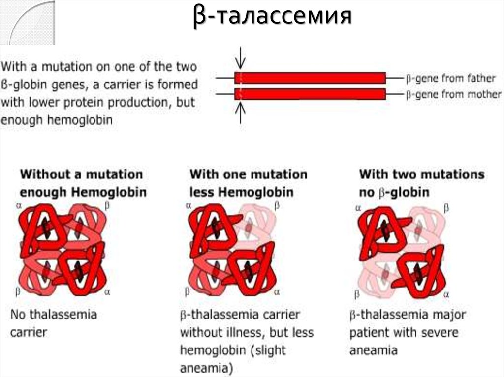 Талассемия клиническая картина