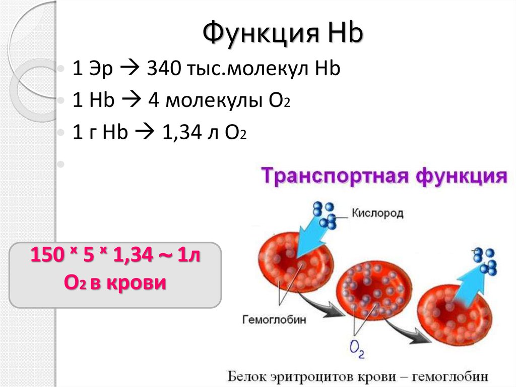 Гемоглобин при талассемии. Гемоглобинопатии и талассемии биохимия. Электрофорез гемоглобина при талассемии.