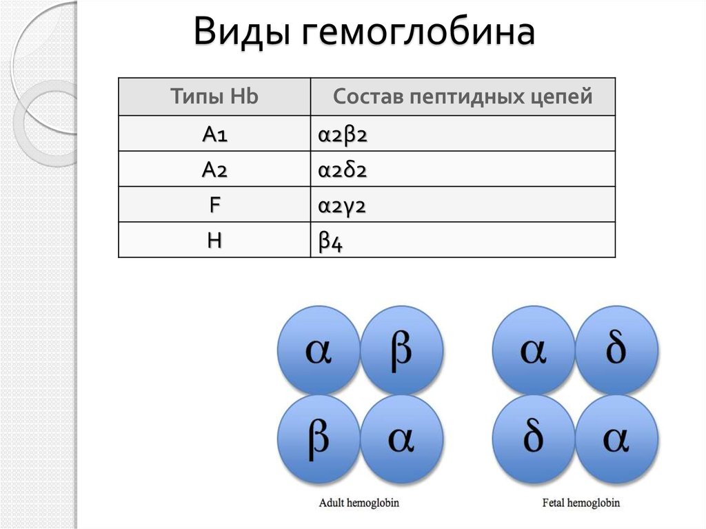 Талассемия презентация по генетике