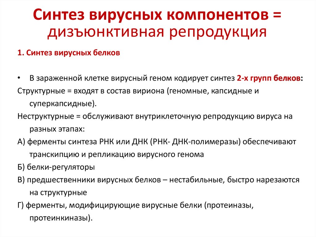 Синтез вирусного. Синтез вирусных белков. Дизъюнктивная репродукция вирусов это. Синтез вирусных компонентов. Дизъюнктивный Биосинтез структурных компонентов вирионов это.