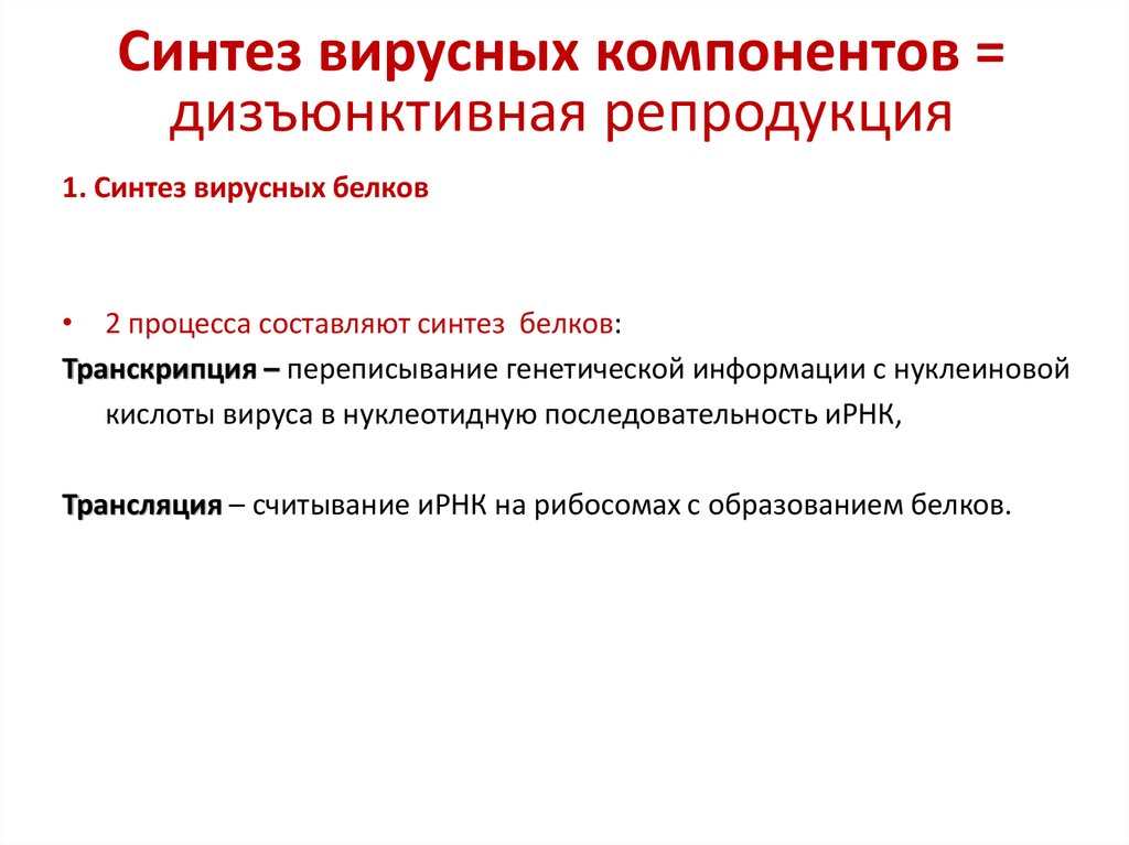 Синтез вирусного белка. Синтез вирусных компонентов протекает в. Дизъюнктивная репродукция вирусов это. Синтез вирусных частиц. Дизъюнктивный Синтез.