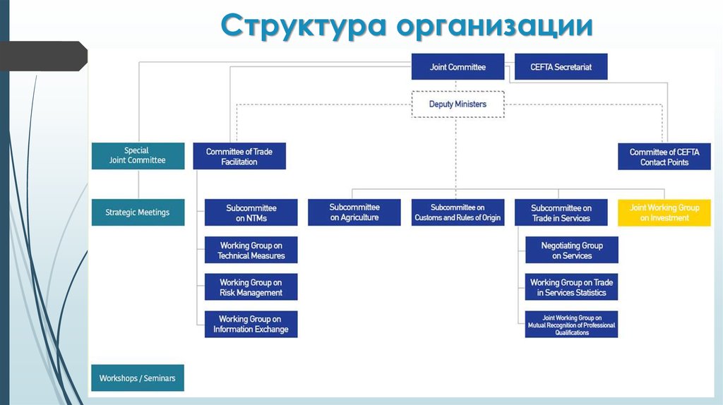 Структура 5. Организационная структура компании ТРАСКО. Структура организации Ланон. Организационная структура управления Данон. Структура компании Данон.