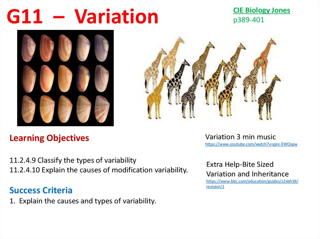 Eu Variation Types Ppt