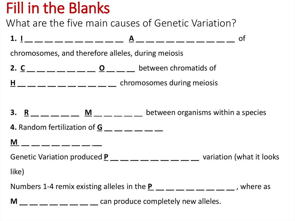 Fill in the Blanks What are the five main causes of Genetic Variation?