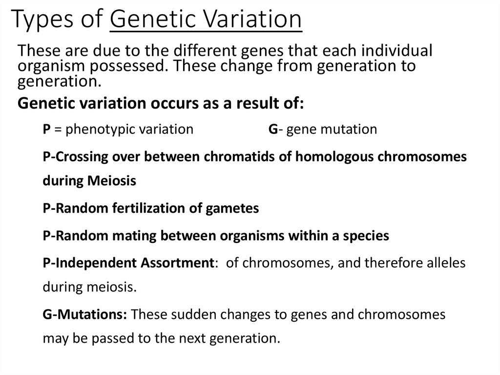 g11-variation-learning-online-presentation