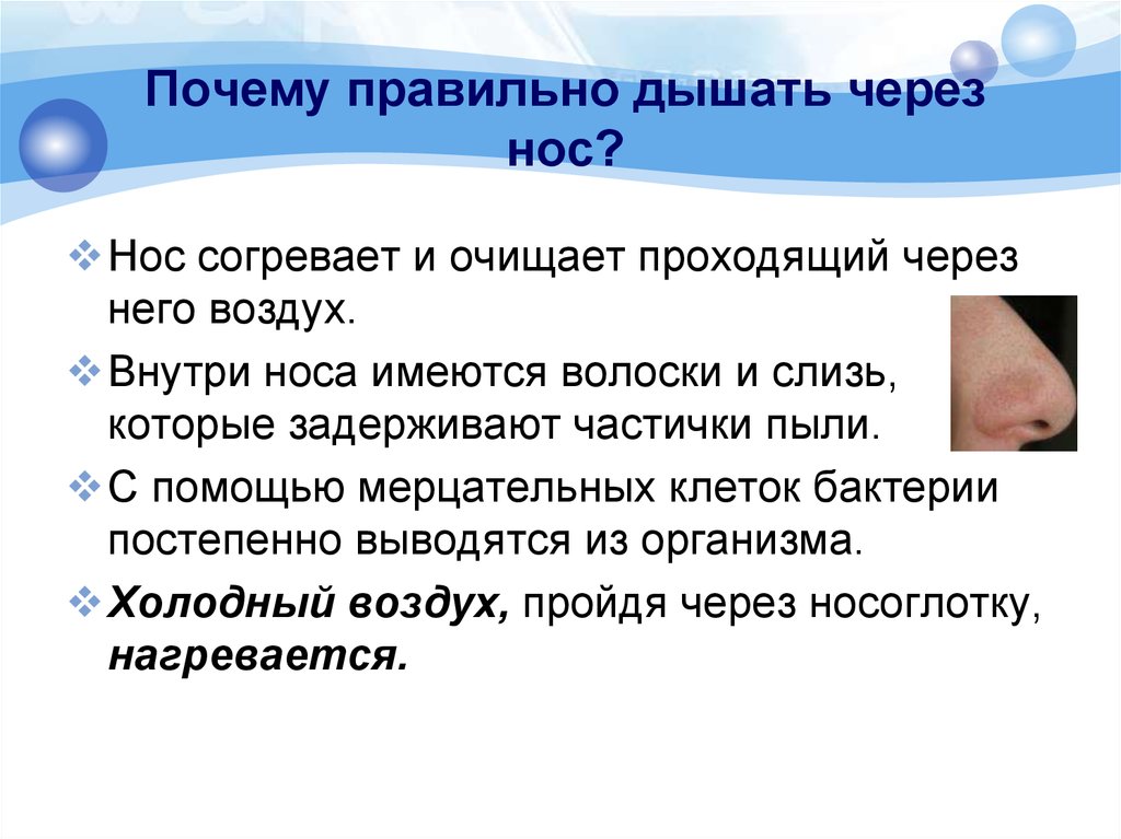 Почему не следует. Почему нужно дышать носом. Почему следует дышать через нос. Почему важно дышать через нос. Правильное дыхание через нос.