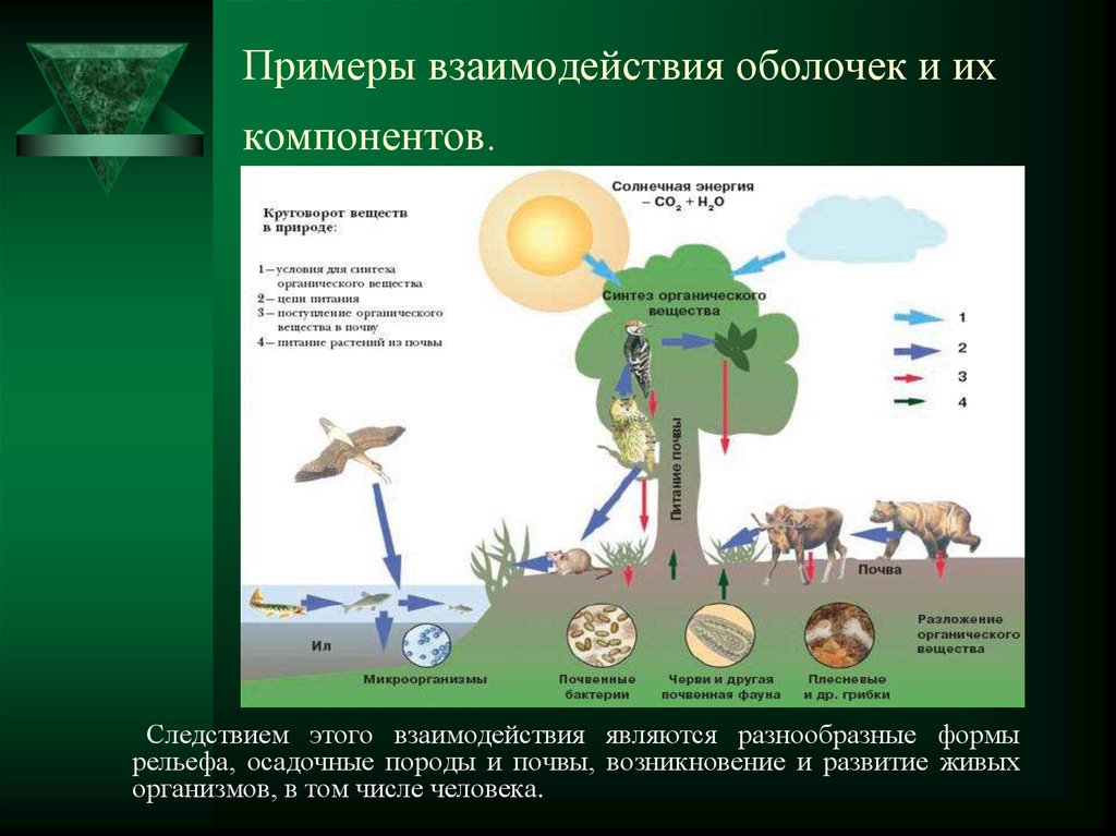 Схема состав географической оболочки