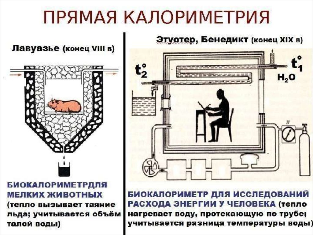 Выберите изображения иллюстрирующие видимые проявления химической энергии