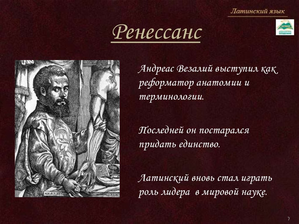 Андреас везалий презентация по истории медицины