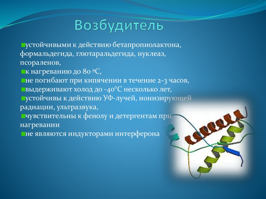 Прионные болезни презентация