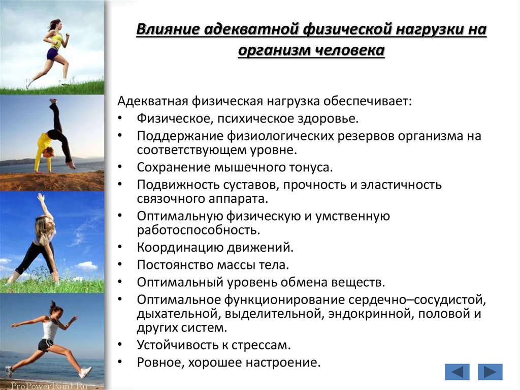 Влияние физической активности. Влияние физических нагрузок на организм. Адекватная физическая нагрузка. Положительное влияние физических нагрузок. Основные методики самостоятельных занятий физическими упражнениями.