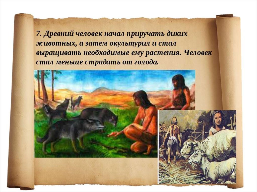 Человек стал животным. Приручение животных человеком. Приручение животных древние люди. Как древние люди приручали животных. Как человек приручил животных.