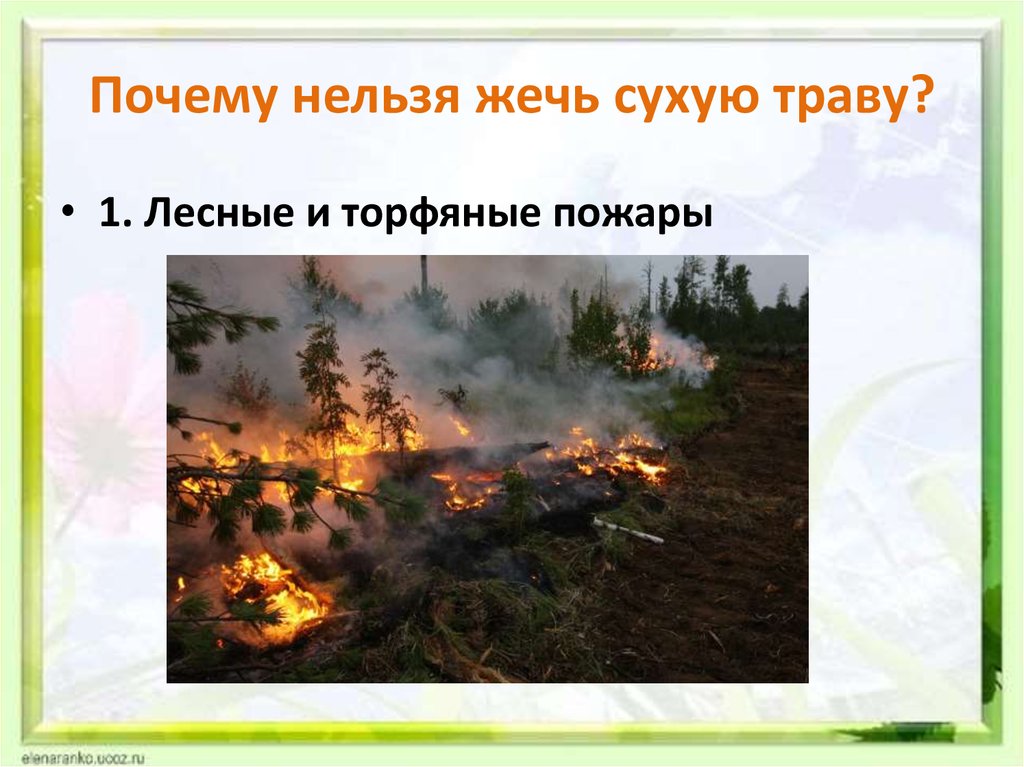 Ничего не это жжет огонь. Жечь сухую траву. Почему нельзя жечь сухую траву. Не жги траву. Почему нельзя жечь траву весной.