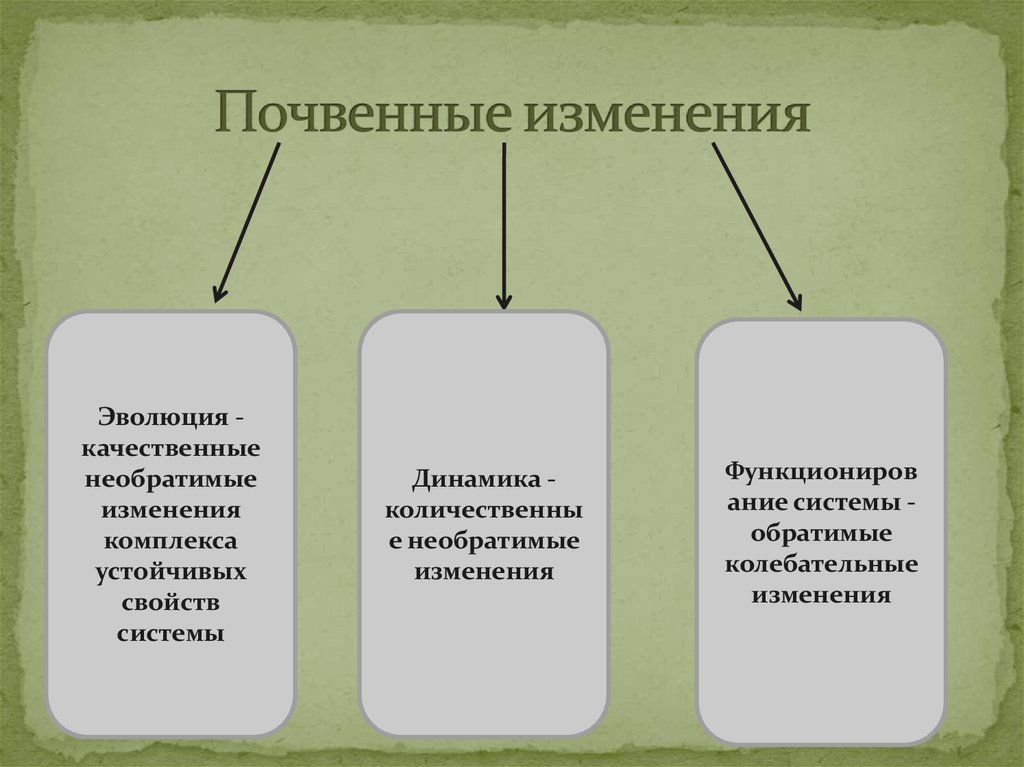 Необратимые изменения природных комплексов. Какие факторы влияют на образование почвы 7 класс. Какие факторы влияют на образование почвы несколько вариантов.