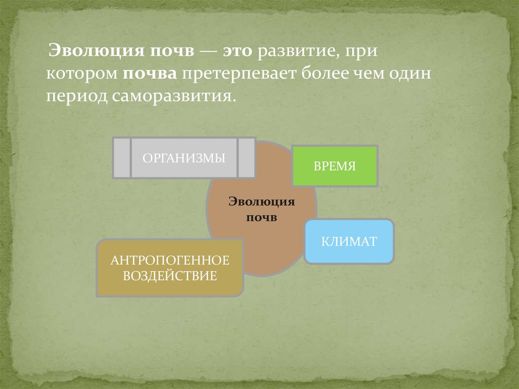 Развитие почв. Эволюция почв. Развитие почвы. Развитие и Эволюция почв. Седиментационная Эволюция почв.