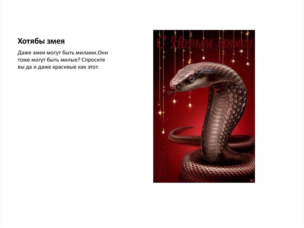 Хотябы змея