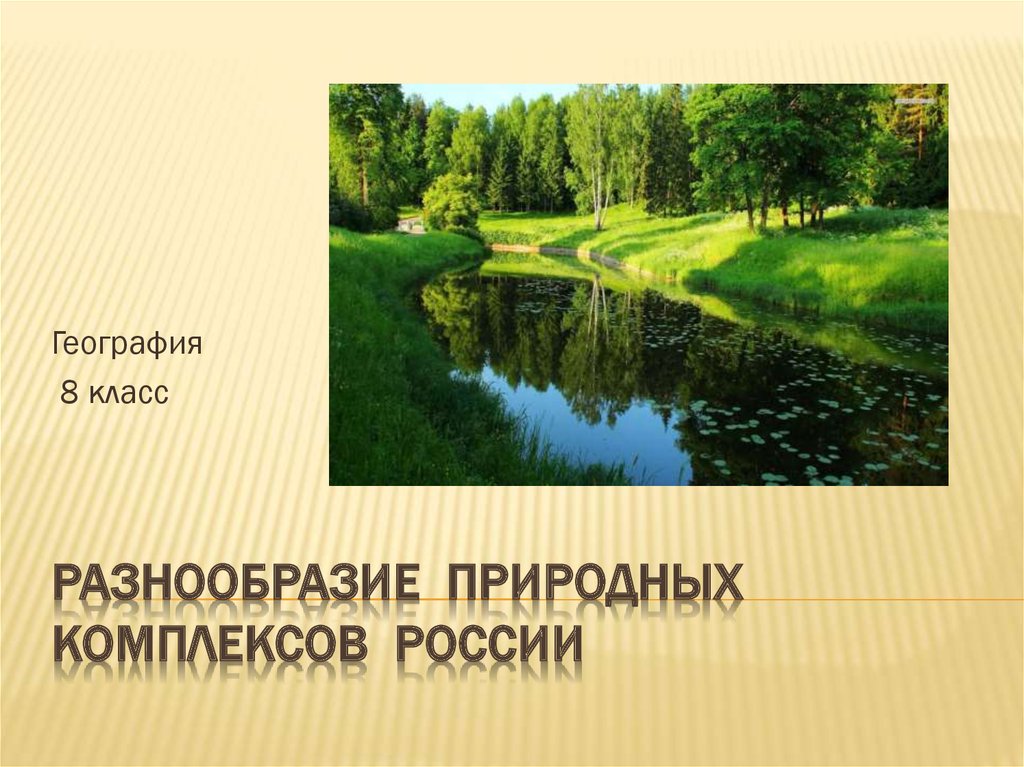 Класс природные комплексы. Разнообразие природных комплексов России. Природные комплексы Росси. Разноолразиет природных комплеккосв Росси. Разнообразие природно-территориальных комплексов.