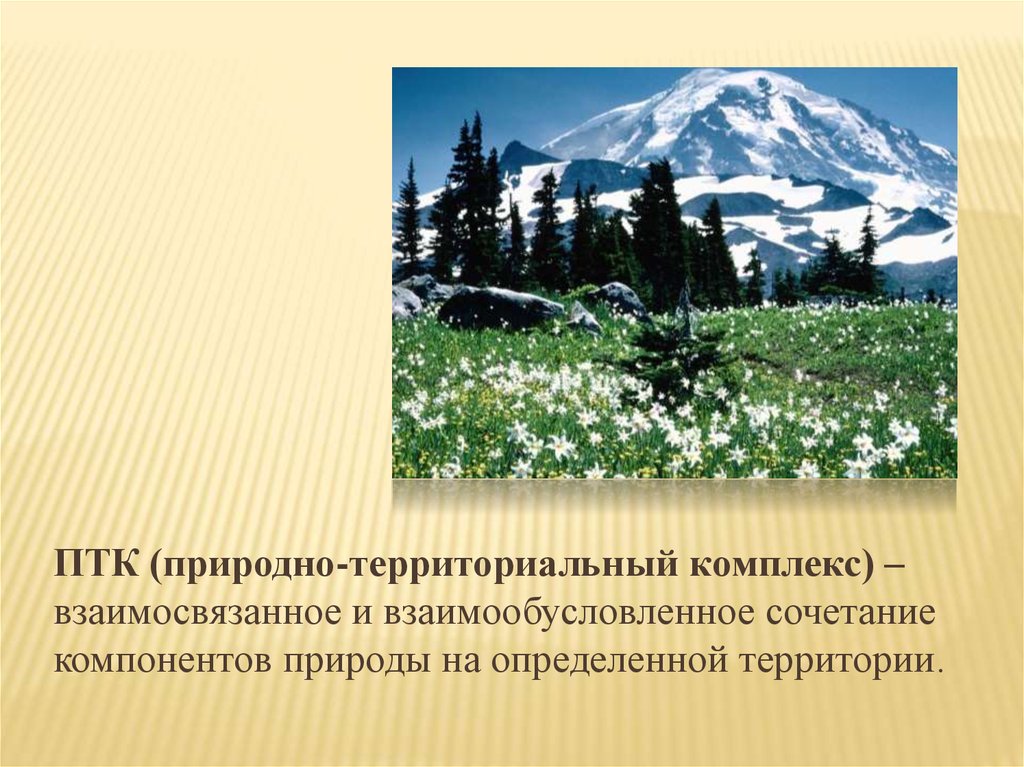 Чем меньше природный комплекс тем он. Природные ПТК. Разнообразие природных комплексов России. Природный территориальный комплекс. Разнообразие природных территориальных комплексов.
