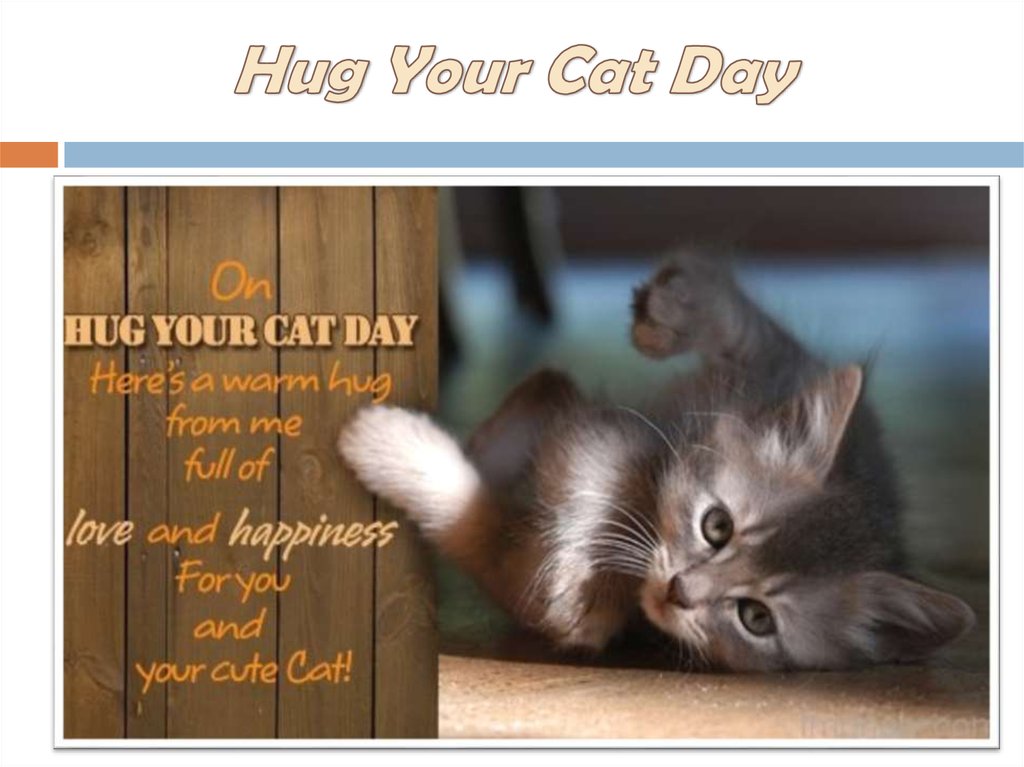 Your cat s. Hug your Cat Day. National hug your Cat Day. 5 Предложений о hug your Cat Day.